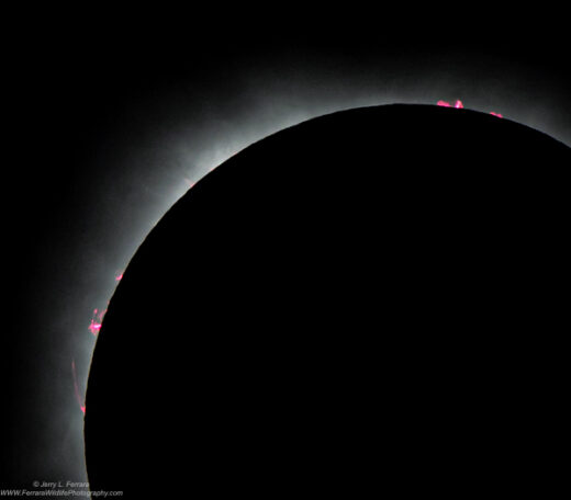 Solar Eclipse 4.8.24