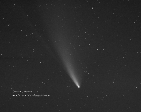 Comet C2020F3 Neopwise