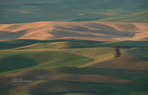 Palouse Scenic